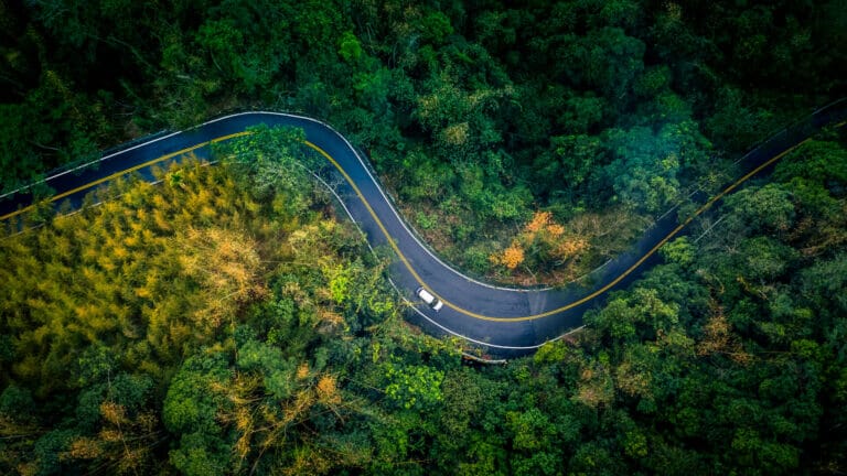 Car in rural road in deep rain forest with green tree forest, Ae